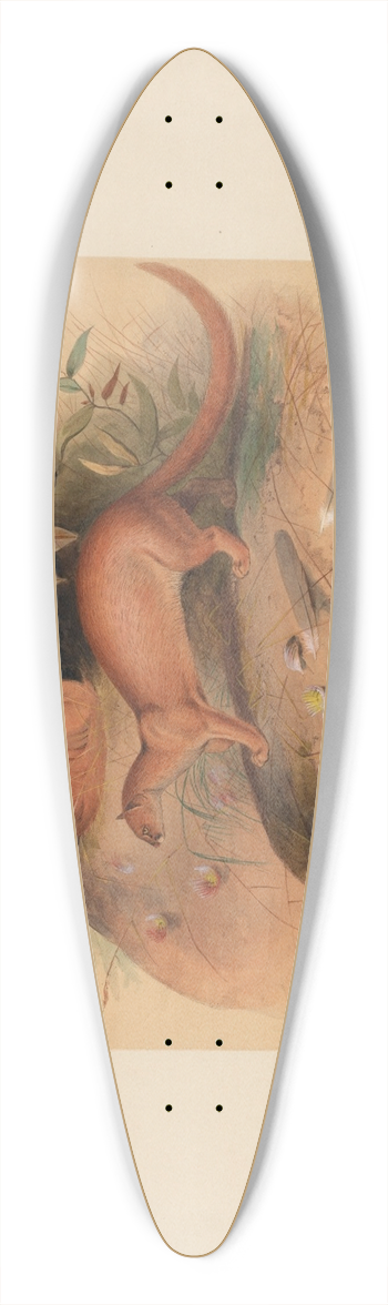 Joseph Wolf - The Eyra 39.3 inch art pintail longboard deck