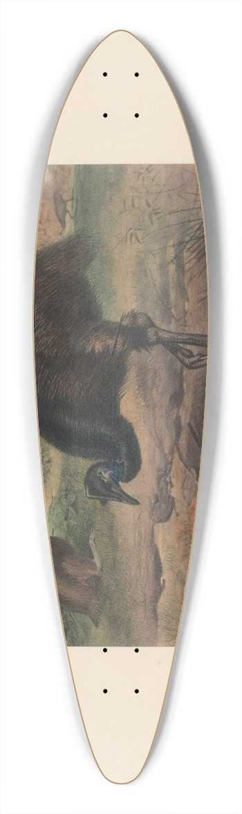 Joseph Wolf - The Mooruk 39.3 inch art pintail longboard deck