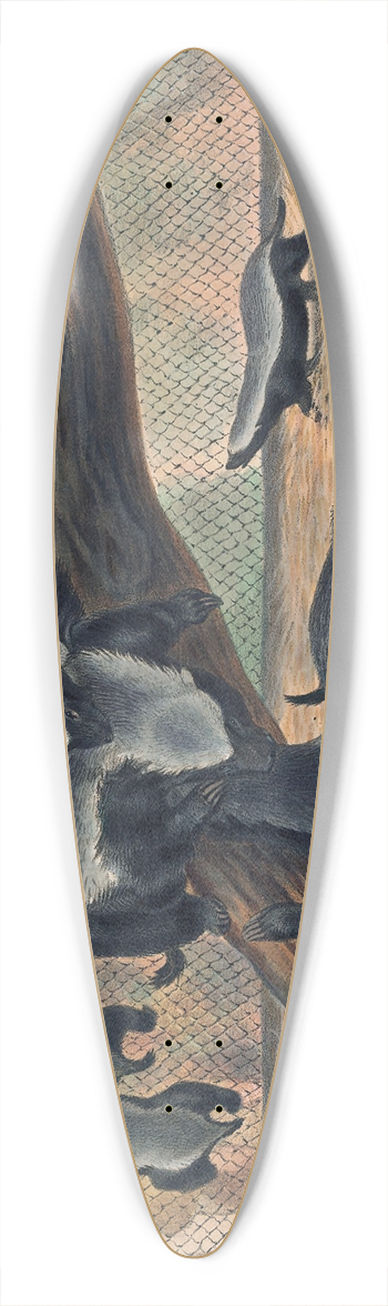Joseph Wolf - The Ratels 39.3 inch art pintail longboard deck