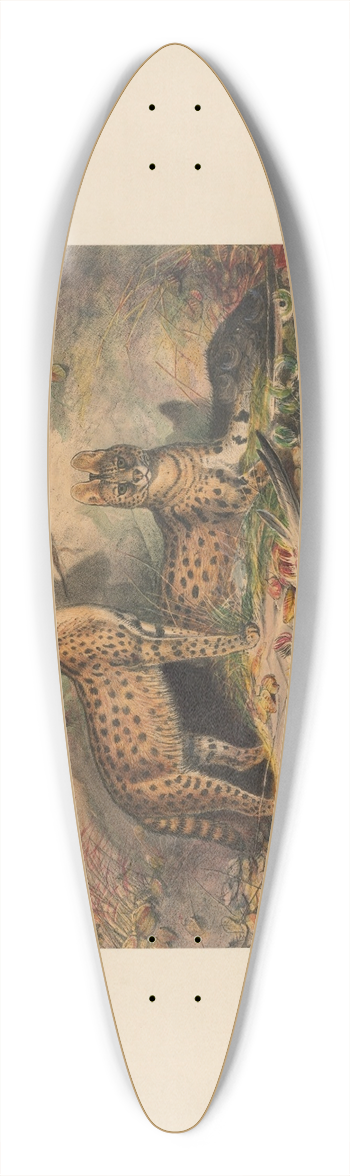 Joseph Wolf - The Serval 39.3 inch art pintail longboard deck