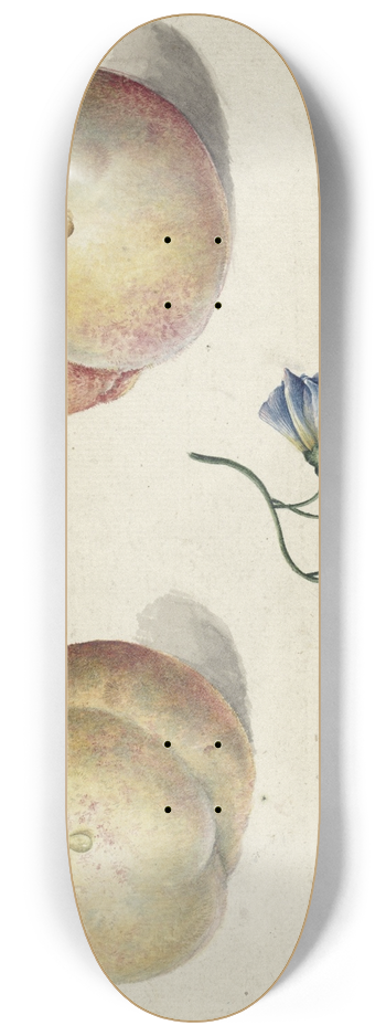 Georgius Jacobus Johannes van Os - Twee perzikken en een bloem 8.25 inch art skate deck