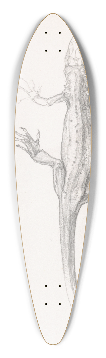 Julie de Graag - Hagedis 39.3 inch art pintail longboard deck