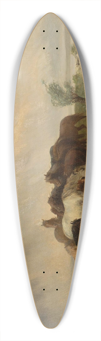 Jzef Jaroszyski - Flood 39.3 inch art pintail longboard deck