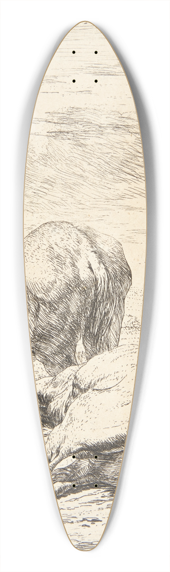 Karel Dujardin - To heste 39.3 inch art pintail longboard deck