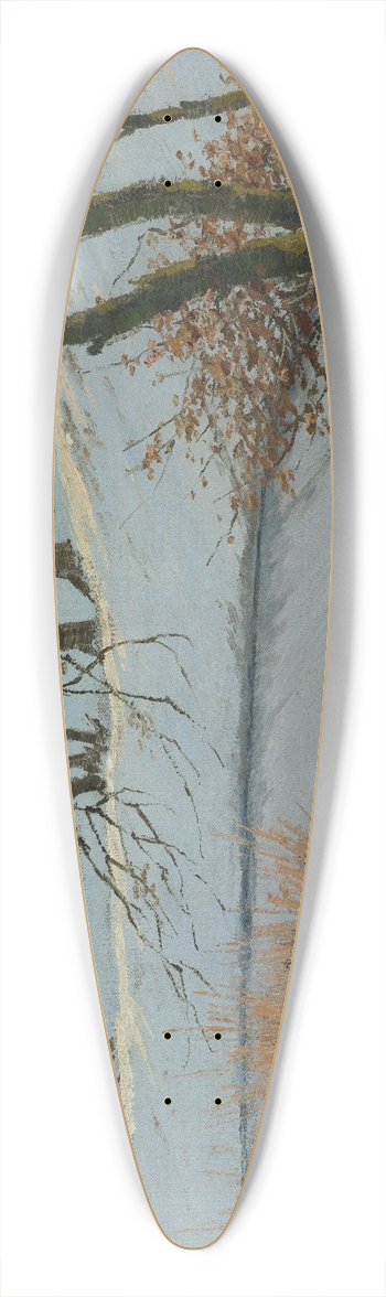 Karl Dussault - Sonniger Wintertag 39.3 inch art pintail longboard deck
