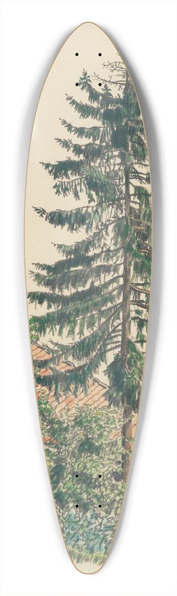 Karl Wiener - Steinberg 39.3 inch art pintail longboard deck