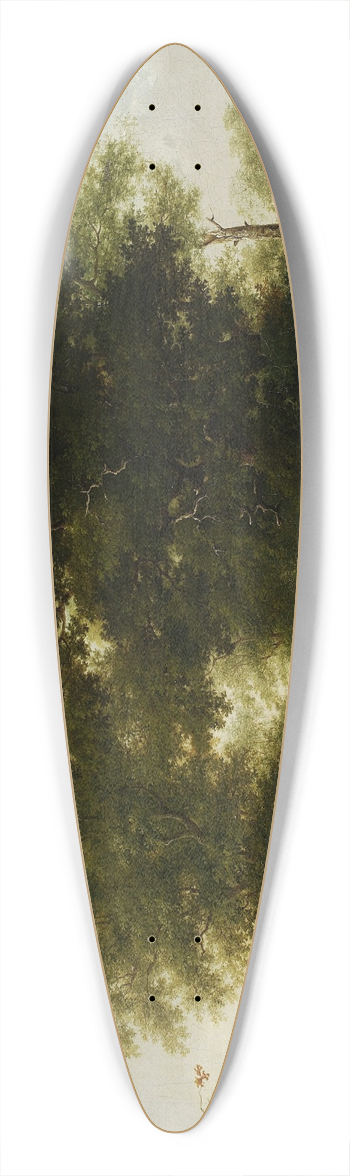 Kazimierz wan - Forest landscape 39.3 inch art pintail longboard deck