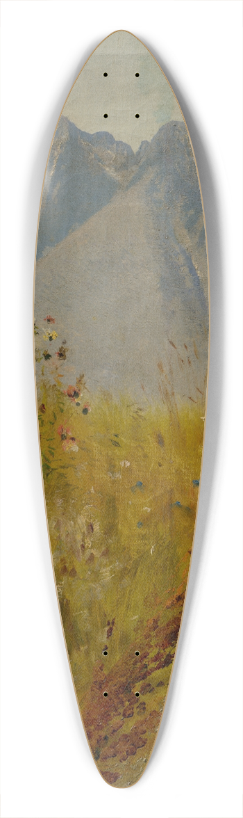 Ladislav Mednynszky - Lomnick Peak 39.3 inch art pintail longboard deck