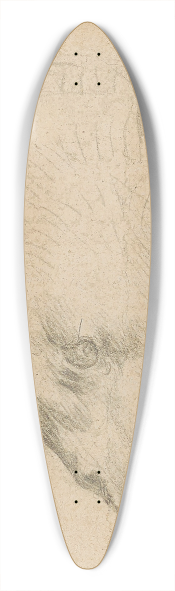 Leonardo da Vinci - Head of a bear 39.3 inch art pintail longboard deck