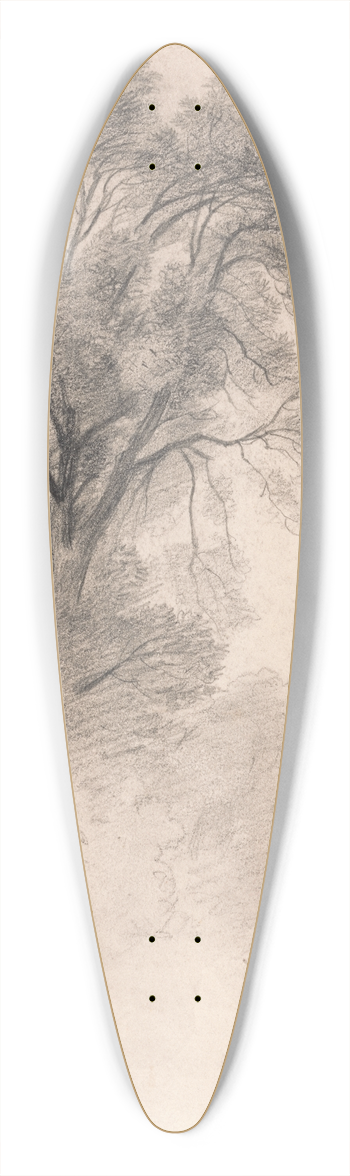Lionel Constable - Study of Ash Trees 39.3 inch art pintail longboard deck
