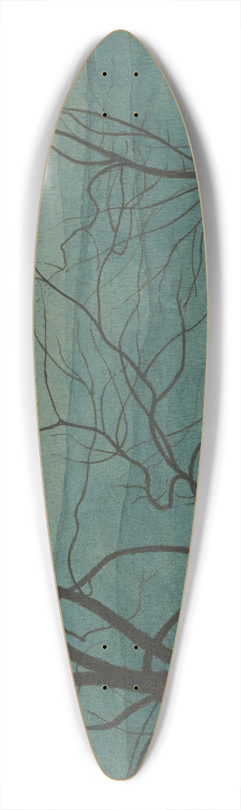 Lon Spilliaert - Boomtakken 39.3 inch art pintail longboard deck