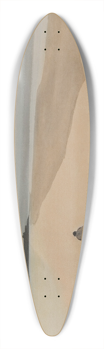Lon Spilliaert - La Dmocratie en marche 39.3 inch art pintail longboard deck
