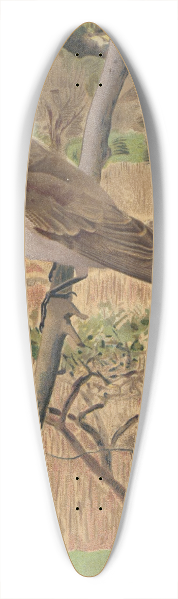 Lo-Paul Robert - Gobe-Mouches Gris 39.3 inch art pintail longboard deck