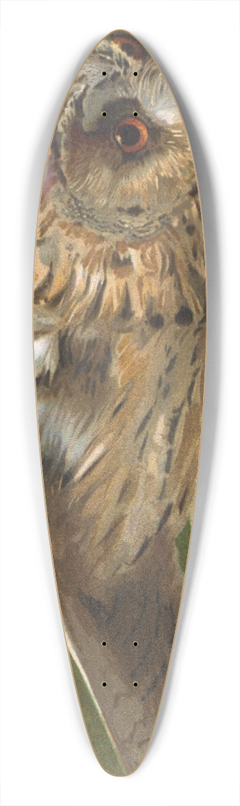 Lo-Paul Robert - Hibou 39.3 inch art pintail longboard deck