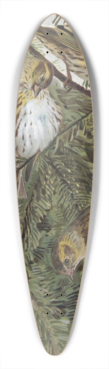 Lo-Paul Robert - Tarin 39.3 inch art pintail longboard deck