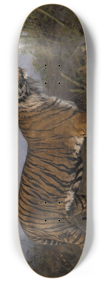 Geza Vastagh - Royal Tiger 8.25 inch art skate deck