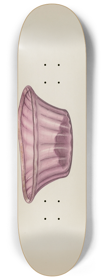 Giacinto Capelli - Bowl 8.25 inch art skate deck