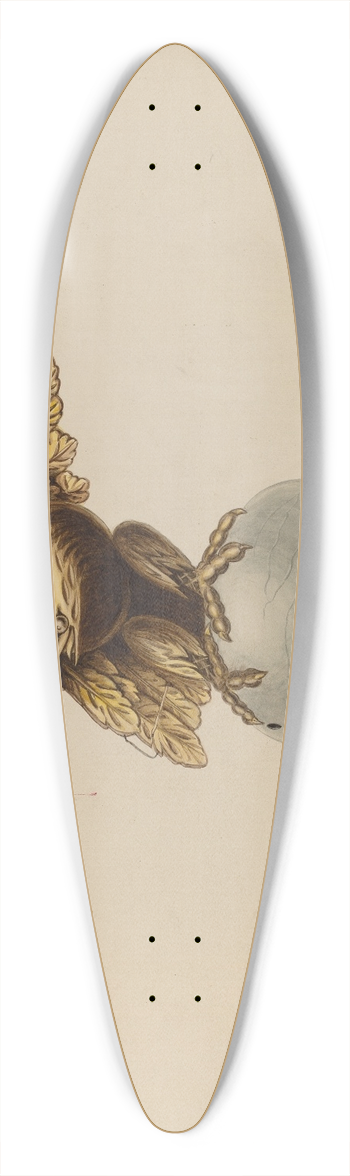 Louis Plogsted - Eagle 39.3 inch art pintail longboard deck