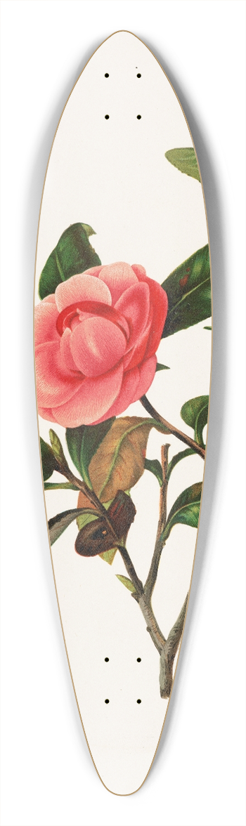 Louis Prang - Camellia 39.3 inch art pintail longboard deck
