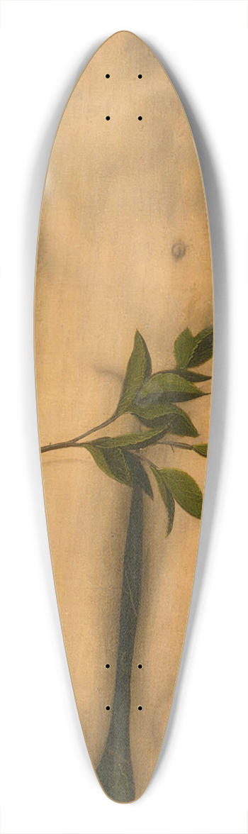Lucas Cranach the Elder - Adam 39.3 inch art pintail longboard deck