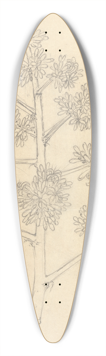 Luigi Balugani - Gibara 39.3 inch art pintail longboard deck