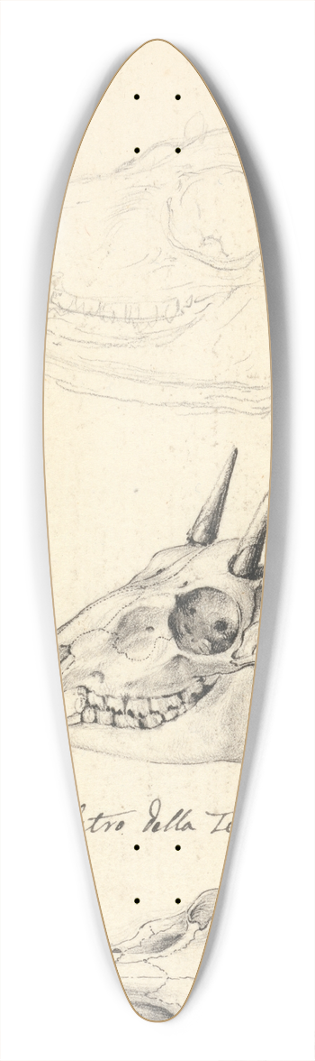 Luigi Balugani - Skeletro della Testa di Fecco (Three Animal Skulls) 39.3 inch art pintail longboard deck