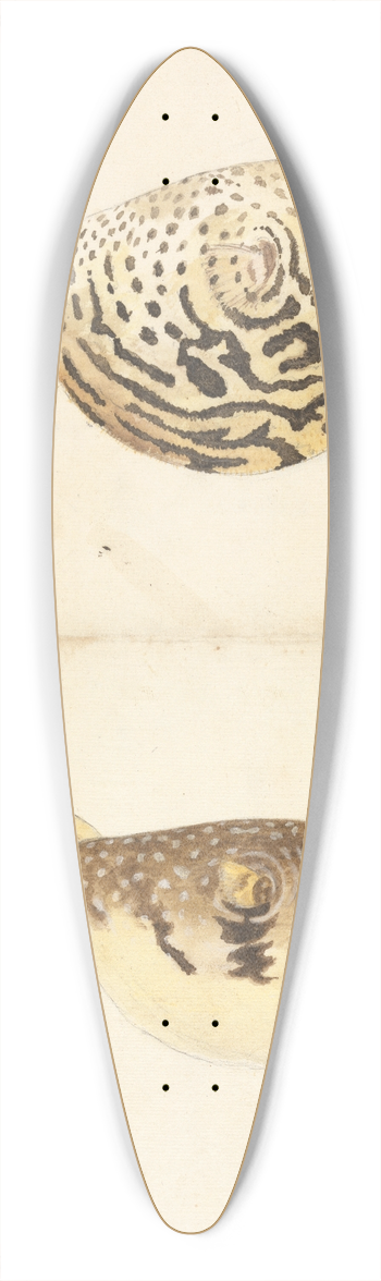 Luigi Balugani - Two Blowfish 39.3 inch art pintail longboard deck