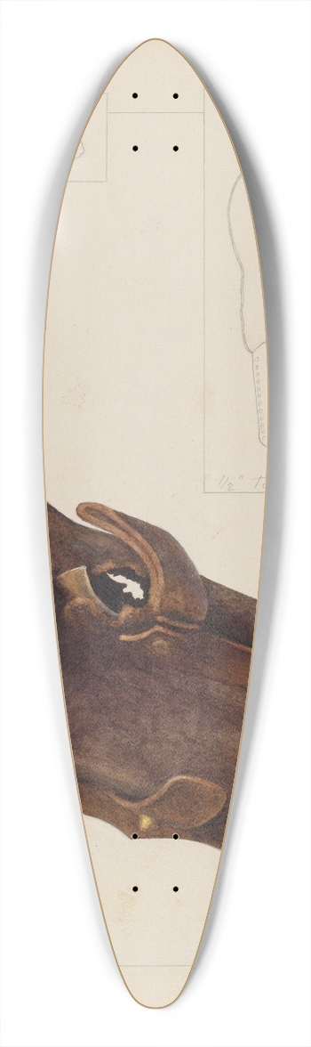 Manuel G. Runyan - Cartridge Box and Bullet 39.3 inch art pintail longboard deck