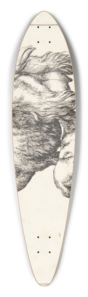 Marcus de Bye - Ged med et diende kid 39.3 inch art pintail longboard deck