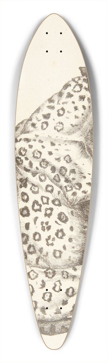 Marcus de Bye - Hunleopard 39.3 inch art pintail longboard deck