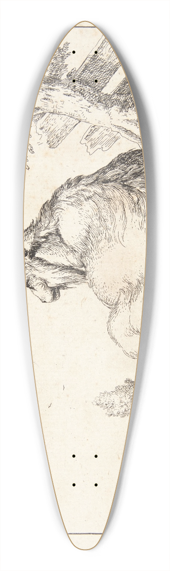 Marcus de Bye - Liggende ged 39.3 inch art pintail longboard deck
