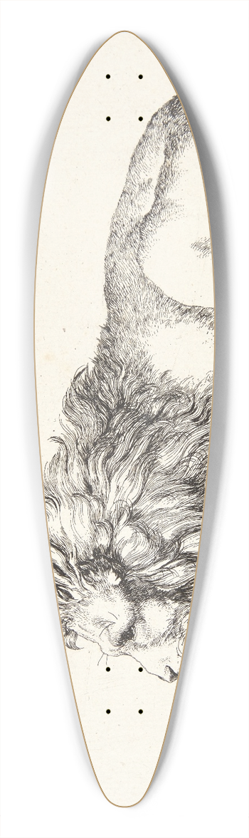 Marcus de Bye - Liggende lve 39.3 inch art pintail longboard deck