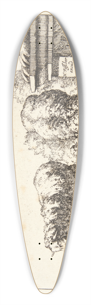 Marcus de Bye - Titelblad til Fr 39.3 inch art pintail longboard deck