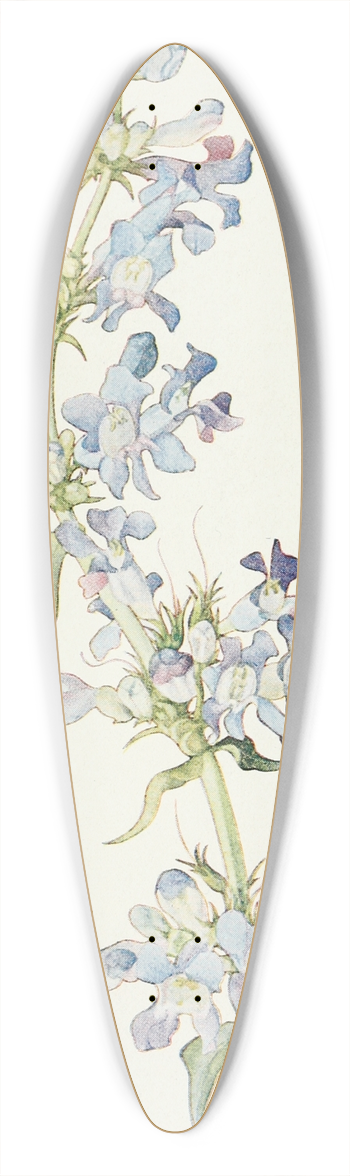 Margaret Armstrong - Penstemon cyananthus 39.3 inch art pintail longboard deck