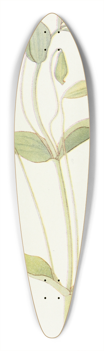 Margaret Armstrong - Pink Monkey Flower 39.3 inch art pintail longboard deck