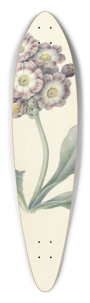 Maria Margaretha van Os - Bloemenstudie 39.3 inch art pintail longboard deck