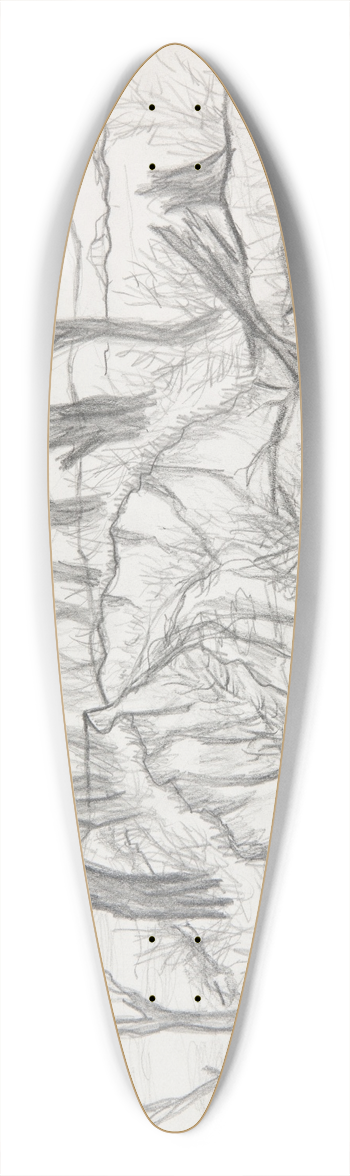 Marian Kopf - Parw 39.3 inch art pintail longboard deck