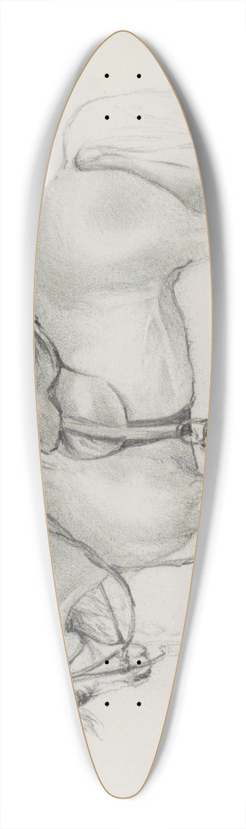 Marius Bauer - Gezadeld paard 39.3 inch art pintail longboard deck