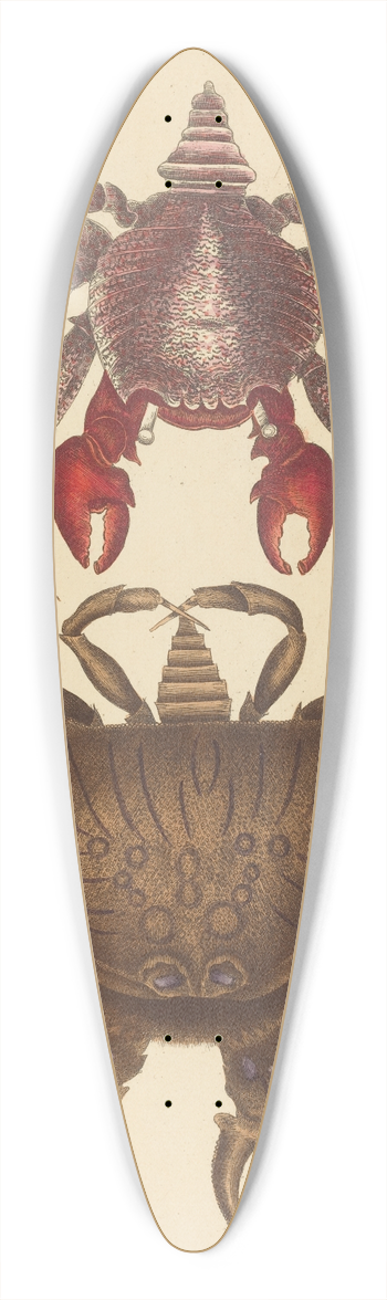 Mark Catesby - Red Mottled Rock-crab (Cancer grapsus) 39.3 inch art pintail longboard deck