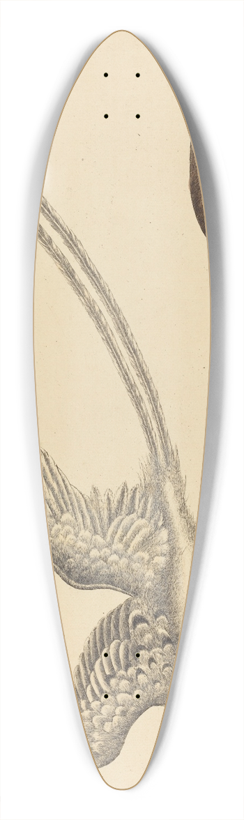 Mark Catesby - The Rice-bird (Emberiza oryzivora) 39.3 inch art pintail longboard deck