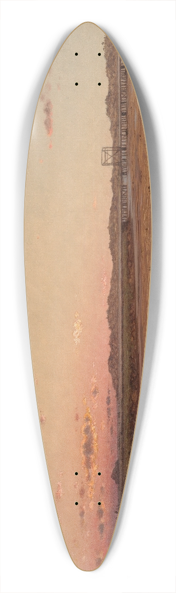Martin Johnson Heade - LynnMeadows 39.3 inch art pintail longboard deck