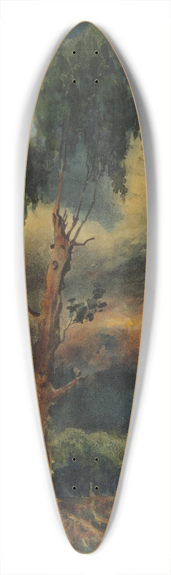 Martn Malharro - Un rincn de Belgrano 39.3 inch art pintail longboard deck