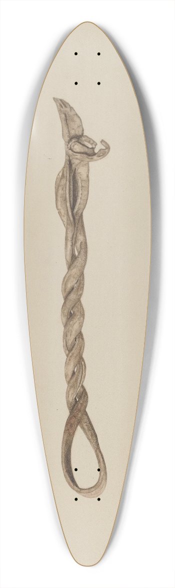 Mary Hansen - Horse Hobble 39.3 inch art pintail longboard deck