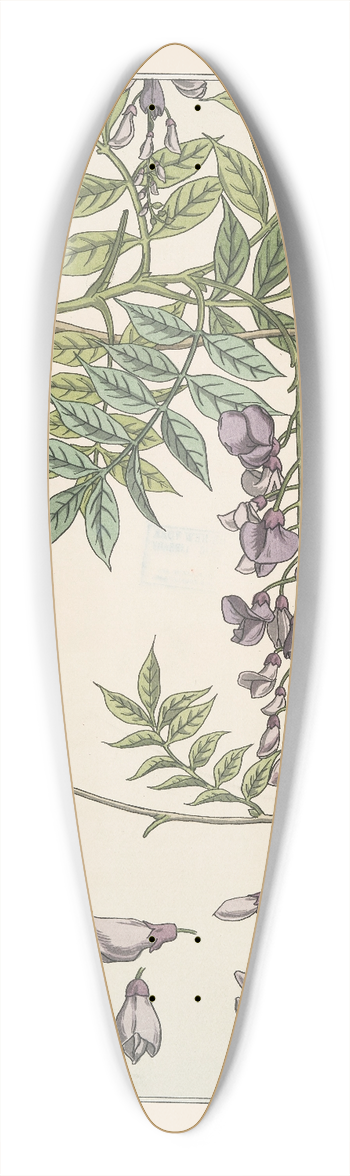 Maurice Pillard Verneuil - Glycine 39.3 inch art pintail longboard deck