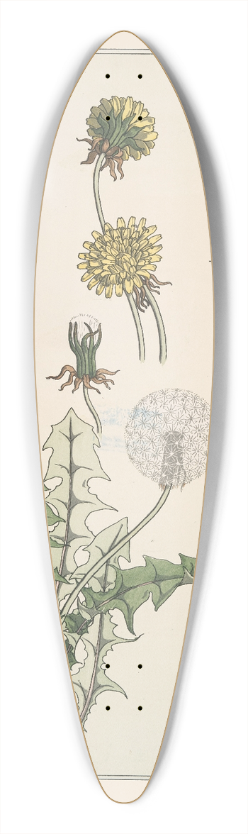 Maurice Pillard Verneuil - Pissenlit 39.3 inch art pintail longboard deck