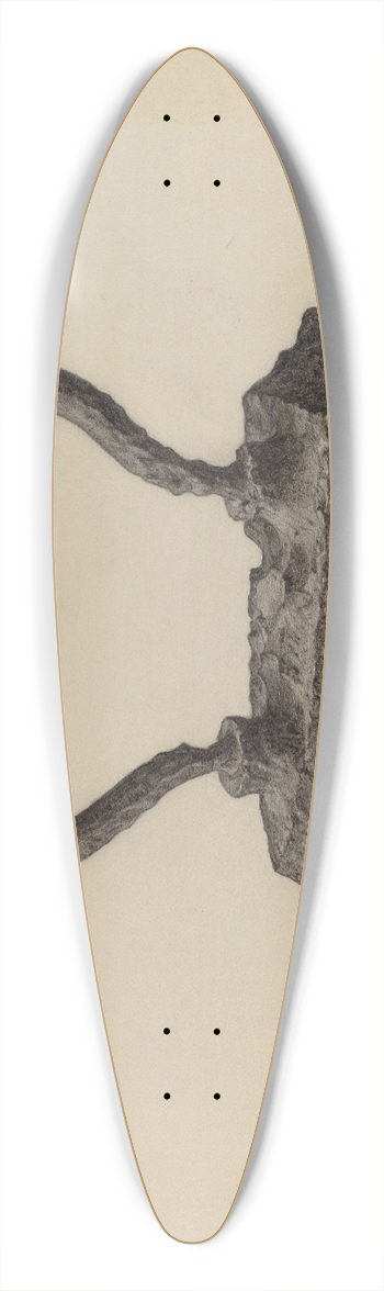 Maurice Van Felix - Flatiron 39.3 inch art pintail longboard deck