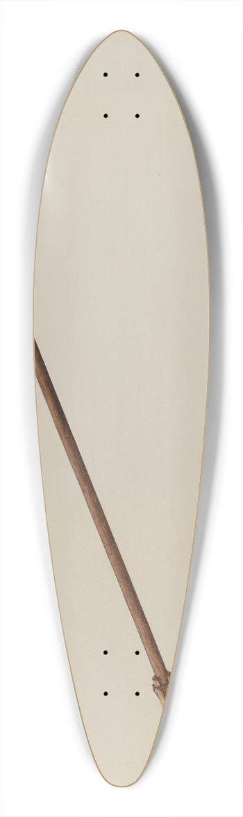 Max Fernekes - Flail 39.3 inch art pintail longboard deck