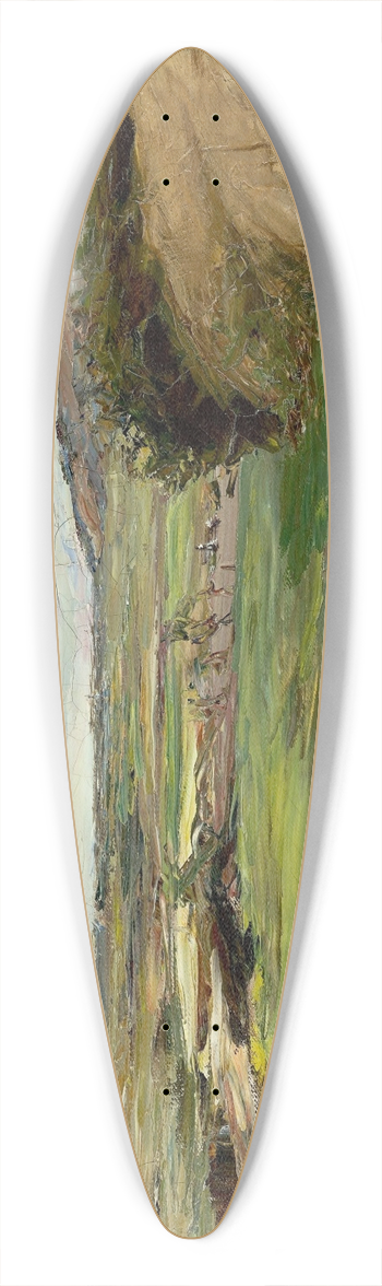 Max Liebermann - Dnenlandschaft 39.3 inch art pintail longboard deck
