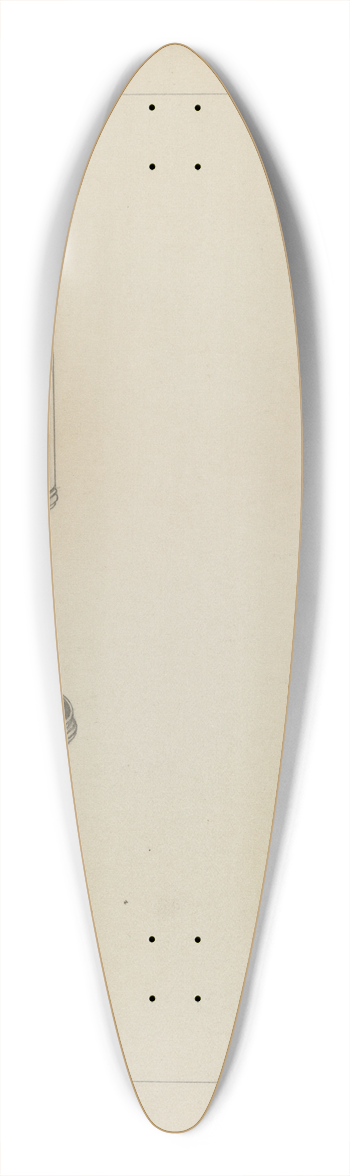Michael Fenga - Silver Nutmeg Grater 39.3 inch art pintail longboard deck