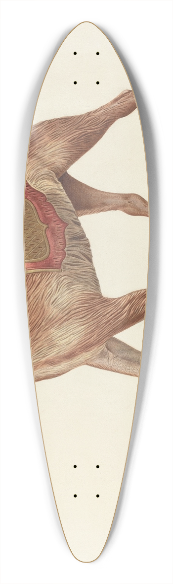 Michael Riccitelli - Carousel Dog 39.3 inch art pintail longboard deck